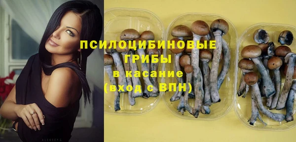 бошки Новодвинск