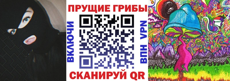 Галлюциногенные грибы MAGIC MUSHROOMS  что такое наркотик  Гурьевск 