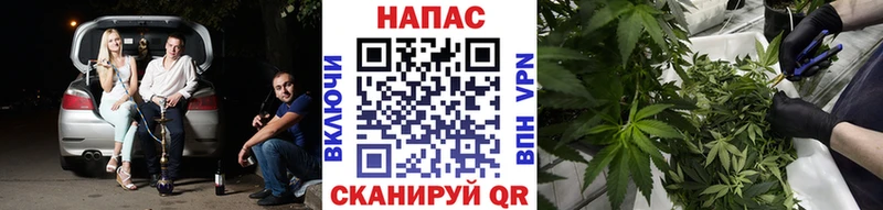 Конопля семена Гурьевск